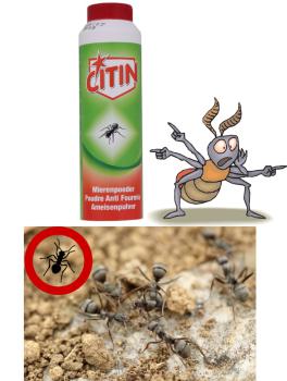 Citin von Henkel hochwirksames Ameisenmittel - ideal für Garten, Terrasse oder Haushalt